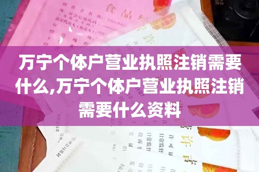 万宁个体户营业执照注销需要什么,万宁个体户营业执照注销需要什么资料