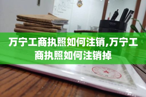 万宁工商执照如何注销,万宁工商执照如何注销掉