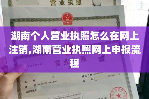 湖南个人营业执照怎么在网上注销,湖南营业执照网上申报流程