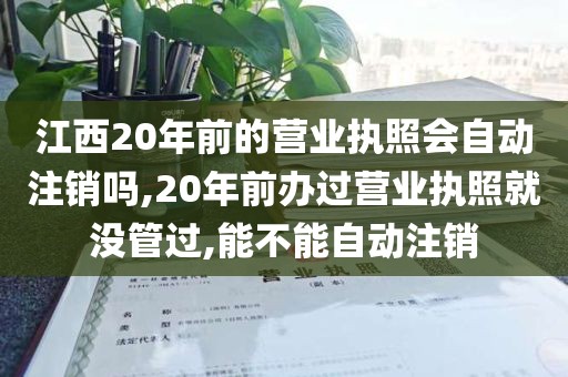 江西20年前的营业执照会自动注销吗,20年前办过营业执照就没管过,能不能自动注销