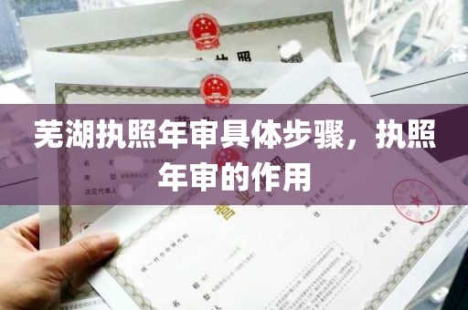 芜湖执照年审具体步骤，执照年审的作用