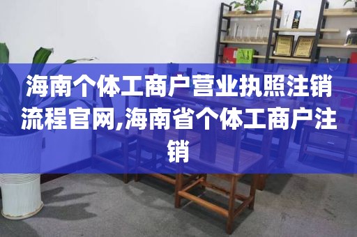 海南个体工商户营业执照注销流程官网,海南省个体工商户注销