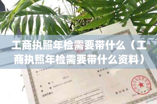 工商执照年检需要带什么（工商执照年检需要带什么资料）