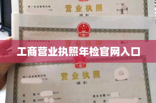 工商营业执照年检官网入口