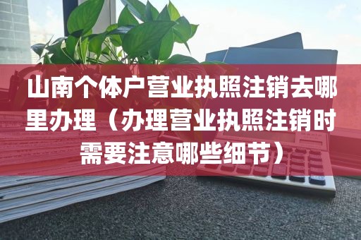 山南个体户营业执照注销去哪里办理（办理营业执照注销时需要注意哪些细节）