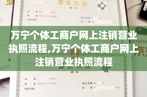 万宁个体工商户网上注销营业执照流程,万宁个体工商户网上注销营业执照流程