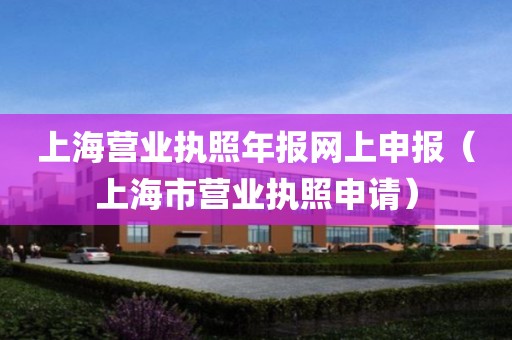 上海营业执照年报网上申报（上海市营业执照申请）