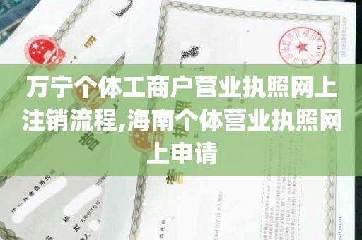 万宁个体工商户营业执照网上注销流程,海南个体营业执照网上申请