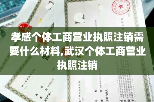 孝感个体工商营业执照注销需要什么材料,武汉个体工商营业执照注销