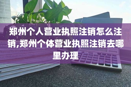 郑州个人营业执照注销怎么注销,郑州个体营业执照注销去哪里办理