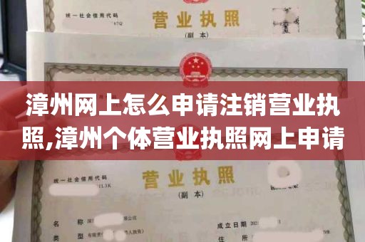 漳州网上怎么申请注销营业执照,漳州个体营业执照网上申请