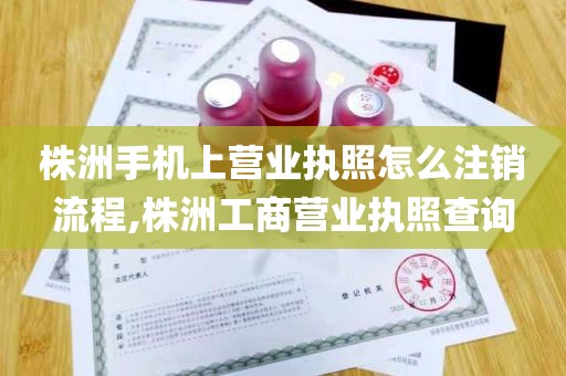 株洲手机上营业执照怎么注销流程,株洲工商营业执照查询