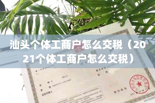 汕头个体工商户怎么交税（2021个体工商户怎么交税）