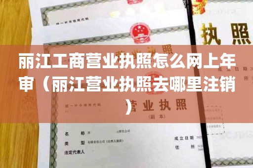 丽江工商营业执照怎么网上年审（丽江营业执照去哪里注销）
