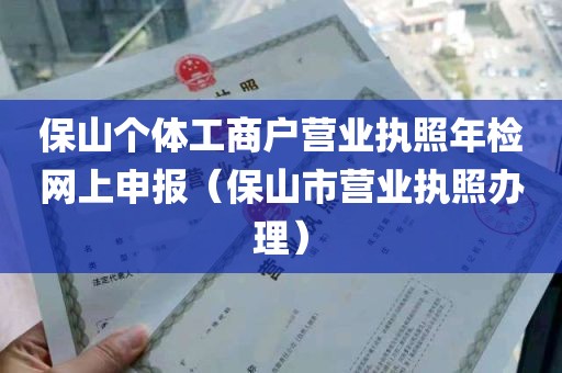 保山个体工商户营业执照年检网上申报（保山市营业执照办理）