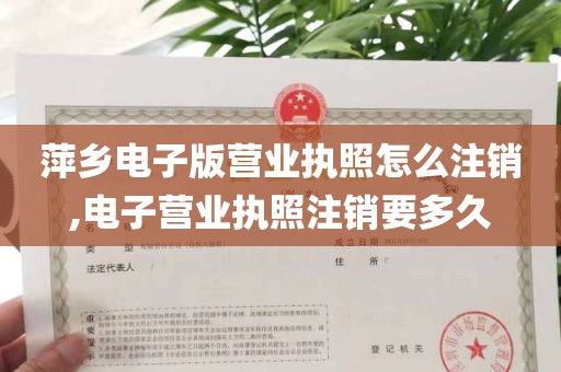 萍乡电子版营业执照怎么注销,电子营业执照注销要多久