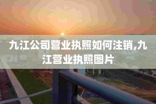 九江公司营业执照如何注销,九江营业执照图片