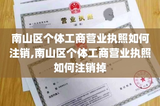 南山区个体工商营业执照如何注销,南山区个体工商营业执照如何注销掉