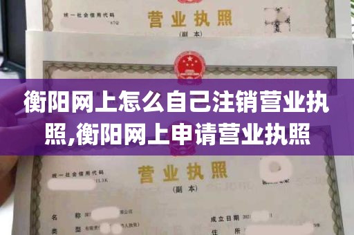 衡阳网上怎么自己注销营业执照,衡阳网上申请营业执照