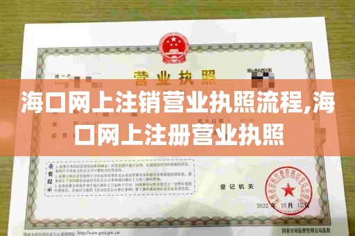 海口网上注销营业执照流程,海口网上注册营业执照