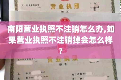 南阳营业执照不注销怎么办,如果营业执照不注销掉会怎么样?