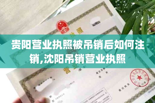 贵阳营业执照被吊销后如何注销,沈阳吊销营业执照