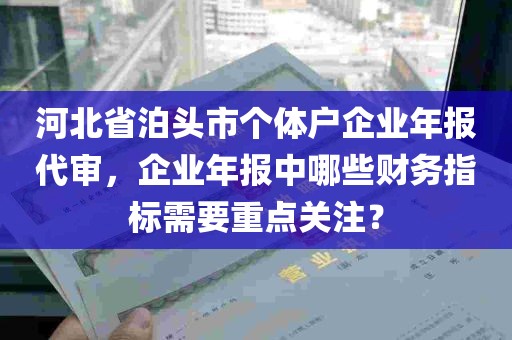 河北省泊头市个体户企业年报代审，企业年报中哪些财务指标需要重点关注？
