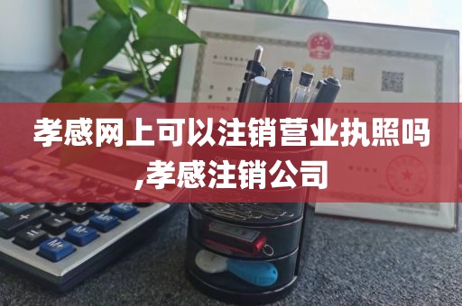 孝感网上可以注销营业执照吗,孝感注销公司