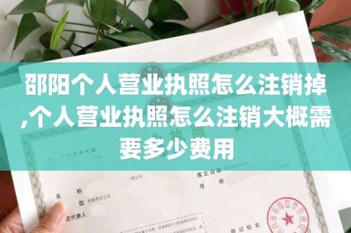 邵阳个人营业执照怎么注销掉,个人营业执照怎么注销大概需要多少费用