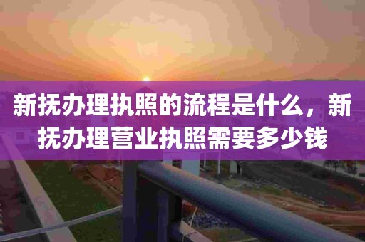 新抚办理执照的流程是什么，新抚办理营业执照需要多少钱