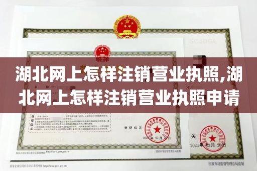 湖北网上怎样注销营业执照,湖北网上怎样注销营业执照申请