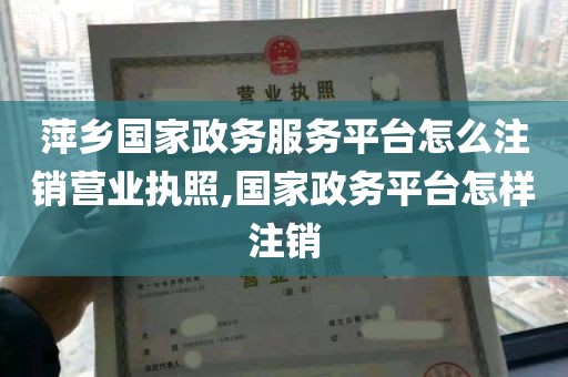 萍乡国家政务服务平台怎么注销营业执照,国家政务平台怎样注销