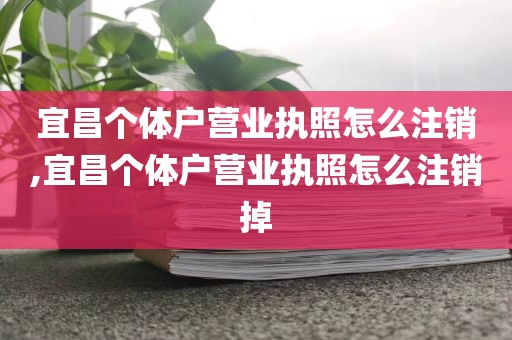 宜昌个体户营业执照怎么注销,宜昌个体户营业执照怎么注销掉