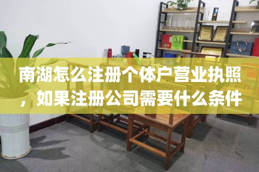 南湖怎么注册个体户营业执照，如果注册公司需要什么条件