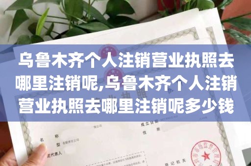 乌鲁木齐个人注销营业执照去哪里注销呢,乌鲁木齐个人注销营业执照去哪里注销呢多少钱