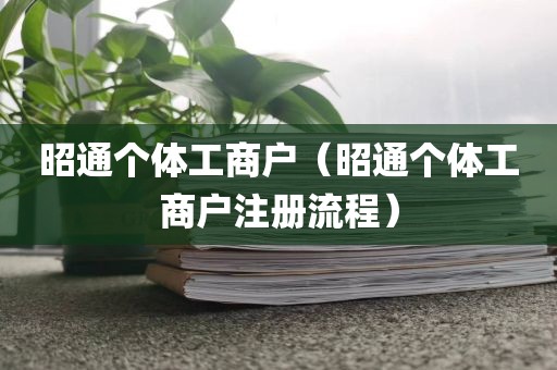 昭通个体工商户（昭通个体工商户注册流程）