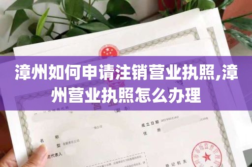 漳州如何申请注销营业执照,漳州营业执照怎么办理