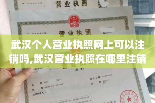 武汉个人营业执照网上可以注销吗,武汉营业执照在哪里注销