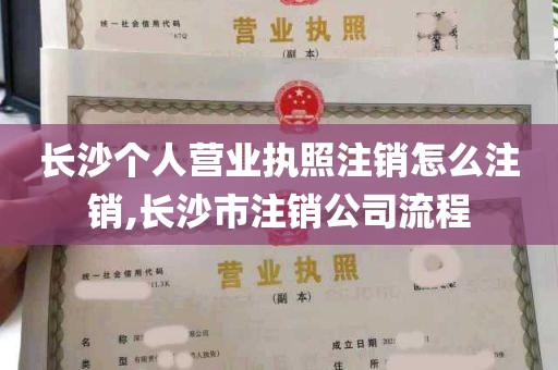 长沙个人营业执照注销怎么注销,长沙市注销公司流程