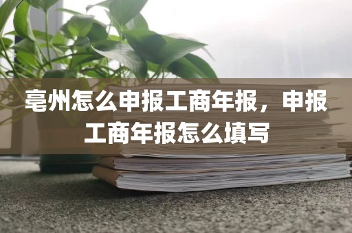 亳州怎么申报工商年报，申报工商年报怎么填写