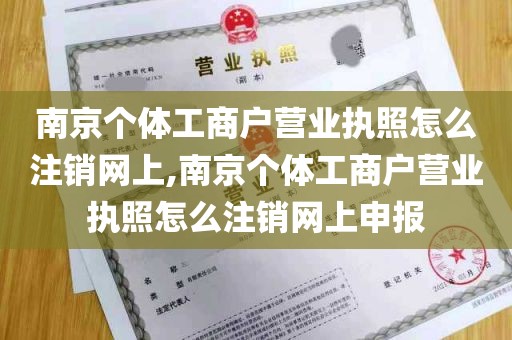 南京个体工商户营业执照怎么注销网上,南京个体工商户营业执照怎么注销网上申报