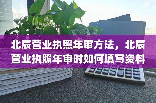 北辰营业执照年审方法，北辰营业执照年审时如何填写资料