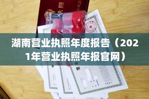 湖南营业执照年度报告（2021年营业执照年报官网）