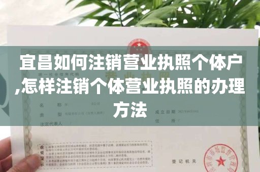 宜昌如何注销营业执照个体户,怎样注销个体营业执照的办理方法