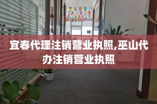 宜春代理注销营业执照,巫山代办注销营业执照