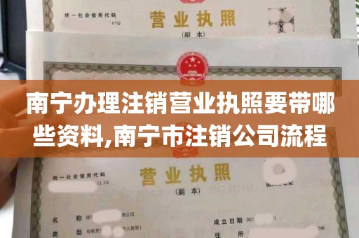 南宁办理注销营业执照要带哪些资料,南宁市注销公司流程