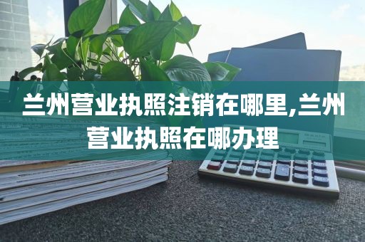 兰州营业执照注销在哪里,兰州营业执照在哪办理