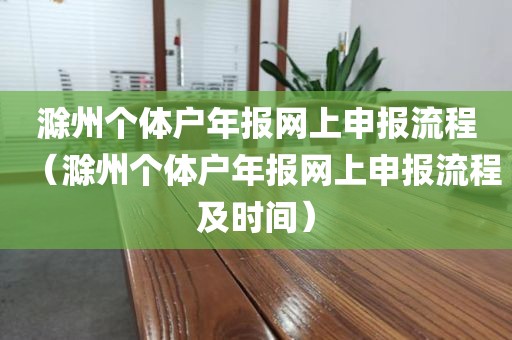 滁州个体户年报网上申报流程（滁州个体户年报网上申报流程及时间）