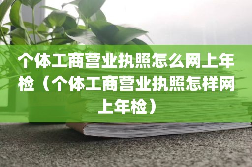 个体工商营业执照怎么网上年检（个体工商营业执照怎样网上年检）