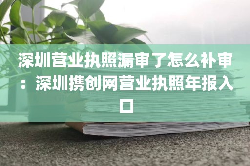 深圳营业执照漏审了怎么补审：深圳携创网营业执照年报入口